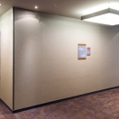 bayerstr_02